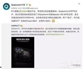 打假内鬼爆料视频大全,视频大全背后的真相与警示  第2张