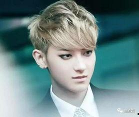 爆料娱乐圈侯明昊,揭秘明星背后的故事  第2张